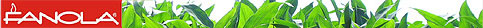 fanola_banner.jpg, 10kB